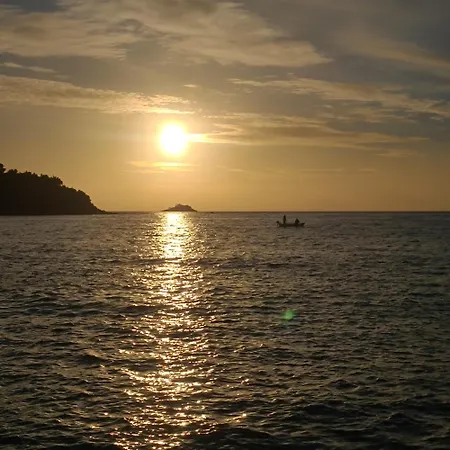 Tena Croatia * ロヴィニ